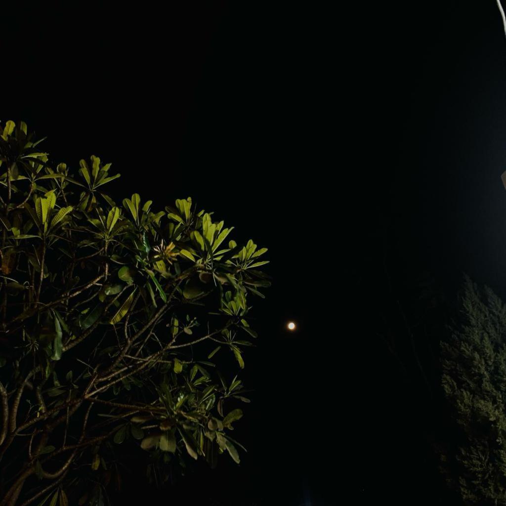 The Roxxy Royal Resort Rishikesh Exterior photo